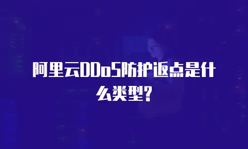 阿里云DDoS防护返点是什么类型?