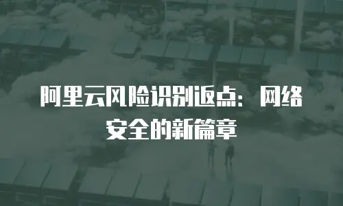阿里云风险识别返点：网络安全的新篇章