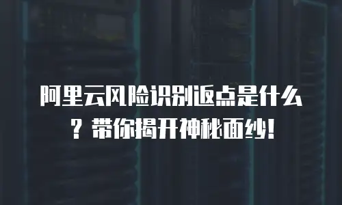 阿里云风险识别返点是什么？带你揭开神秘面纱！