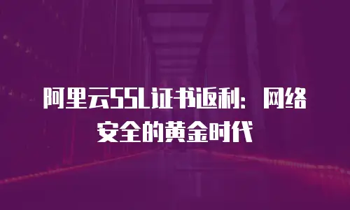 阿里云SSL证书返利：网络安全的黄金时代