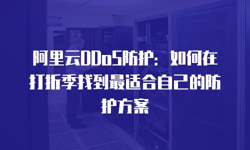 阿里云DDoS防护：如何在打折季找到最适合自己的防护方案
