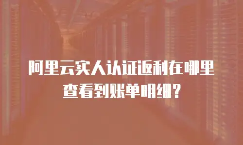 阿里云实人认证返利在哪里查看到账单明细？