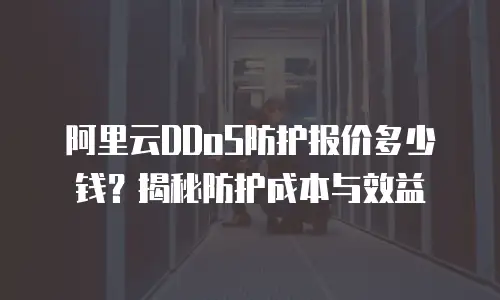 阿里云DDoS防护报价多少钱？揭秘防护成本与效益