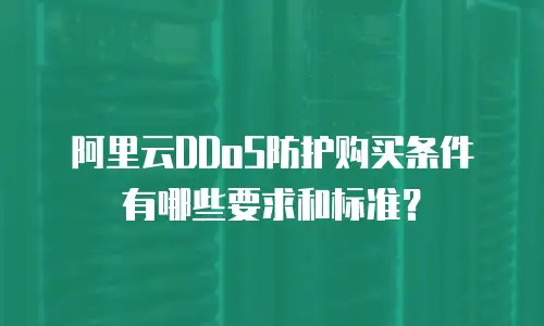 阿里云DDoS防护购买条件有哪些要求和标准？