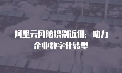 阿里云风险识别返佣：助力企业数字化转型