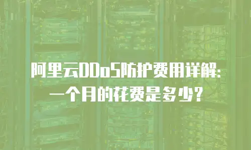 阿里云DDoS防护费用详解：一个月的花费是多少？