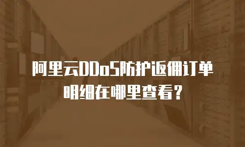 阿里云DDoS防护返佣订单明细在哪里查看？
