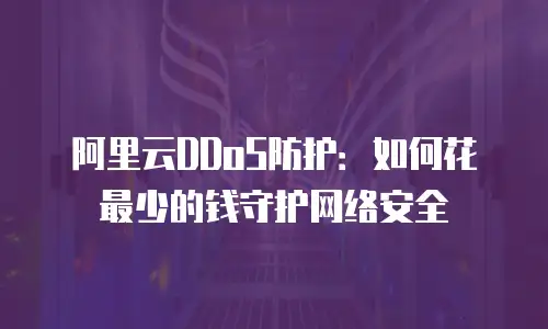 阿里云DDoS防护：如何花最少的钱守护网络安全