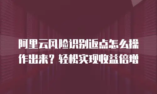 阿里云风险识别返点怎么操作出来？轻松实现收益倍增