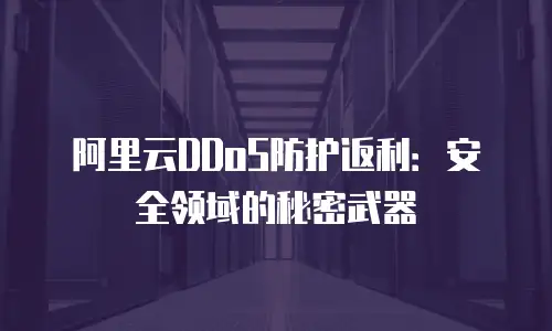 阿里云DDoS防护返利：安全领域的秘密武器