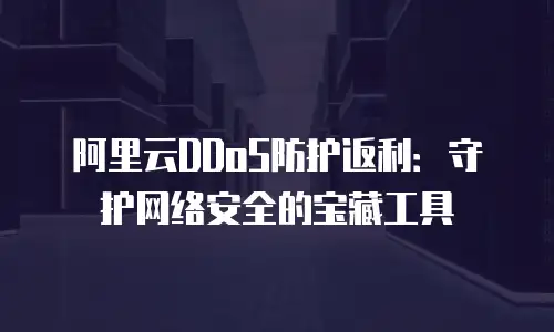 阿里云DDoS防护返利：守护网络安全的宝藏工具
