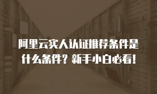 阿里云实人认证推荐条件是什么条件？新手小白必看！