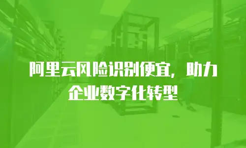 阿里云风险识别便宜，助力企业数字化转型