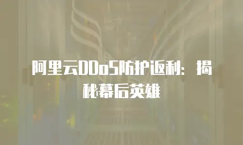 阿里云DDoS防护返利：揭秘幕后英雄
