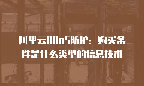 阿里云DDoS防护：购买条件是什么类型的信息技术