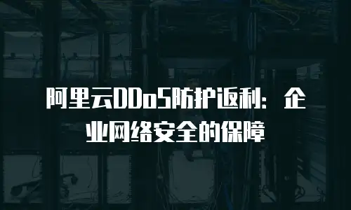 阿里云DDoS防护返利：企业网络安全的保障