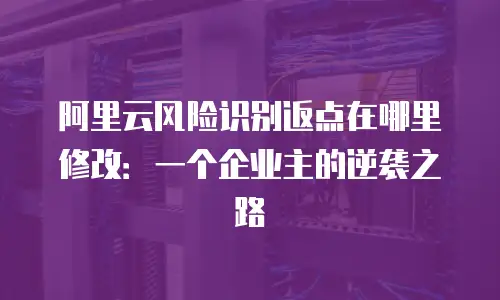 阿里云风险识别返点在哪里修改：一个企业主的逆袭之路