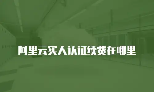 阿里云实人认证续费在哪里