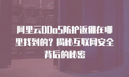 阿里云DDoS防护返佣在哪里找到的？揭秘互联网安全背后的秘密