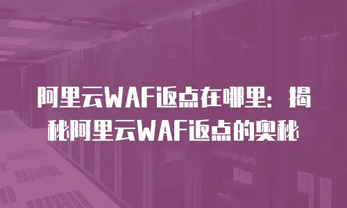 阿里云WAF返点在哪里：揭秘阿里云WAF返点的奥秘