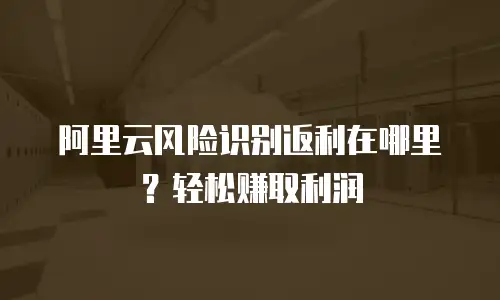 阿里云风险识别返利在哪里？轻松赚取利润