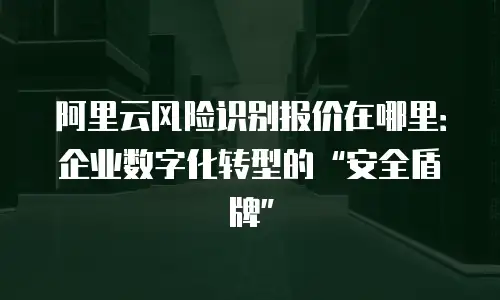 阿里云风险识别报价在哪里：企业数字化转型的“安全盾牌”