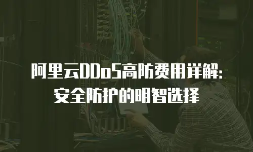 阿里云DDoS高防费用详解：安全防护的明智选择