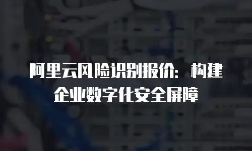 阿里云风险识别报价：构建企业数字化安全屏障