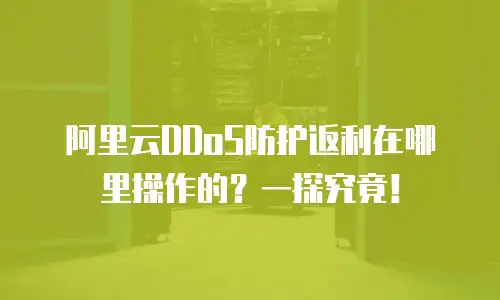 阿里云DDoS防护返利在哪里操作的？一探究竟！
