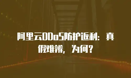 阿里云DDoS防护返利：真假难辨，为何？