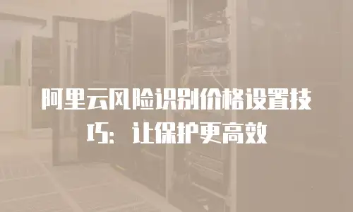 阿里云风险识别价格设置技巧：让保护更高效