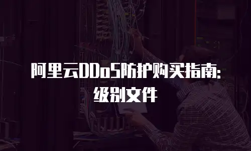 阿里云DDoS防护购买指南: 级别文件