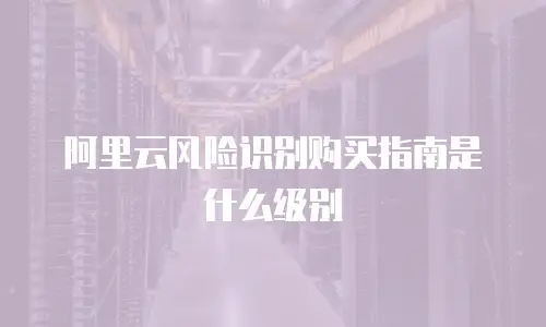 阿里云风险识别购买指南是什么级别
