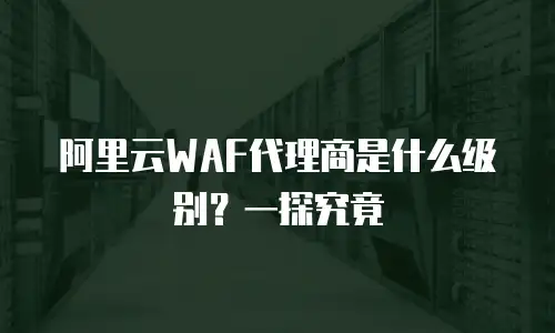 阿里云WAF代理商是什么级别？一探究竟