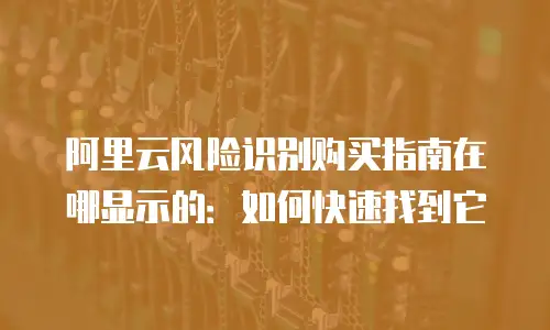 阿里云风险识别购买指南在哪显示的：如何快速找到它
