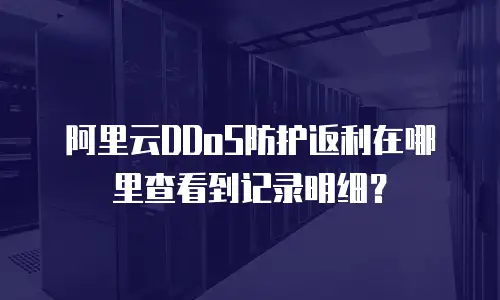 阿里云DDoS防护返利在哪里查看到记录明细？