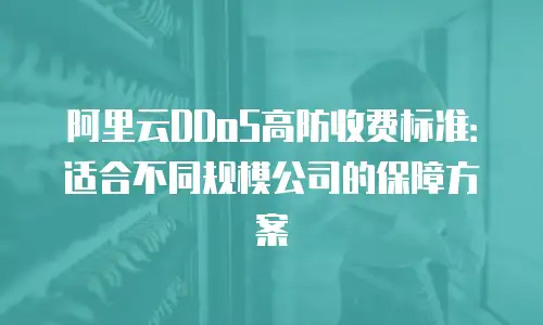 阿里云DDoS高防收费标准：适合不同规模公司的保障方案
