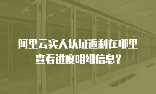 阿里云实人认证返利在哪里查看进度明细信息？