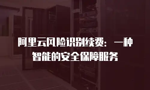阿里云风险识别续费：一种智能的安全保障服务