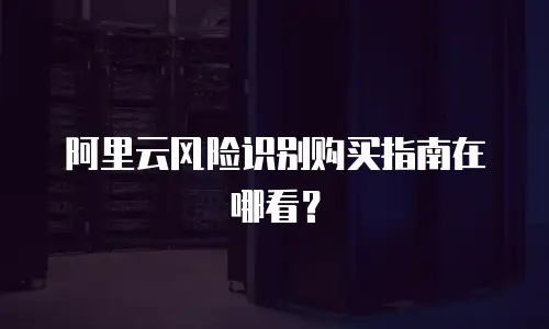 阿里云风险识别购买指南在哪看？