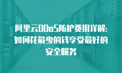 阿里云DDoS防护费用详解：如何花最少的钱享受最好的安全服务