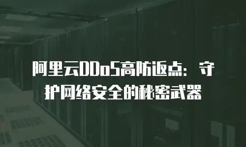 阿里云DDoS高防返点：守护网络安全的秘密武器