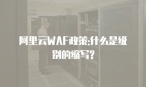 阿里云WAF政策:什么是级别的缩写?