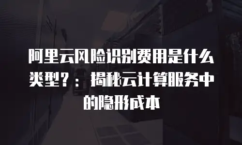 阿里云风险识别费用是什么类型？：揭秘云计算服务中的隐形成本