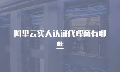 阿里云实人认证代理商有哪些