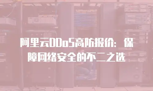 阿里云DDoS高防报价：保障网络安全的不二之选