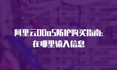阿里云DDoS防护购买指南：在哪里输入信息