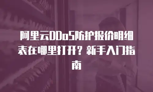 阿里云DDoS防护报价明细表在哪里打开？新手入门指南