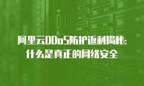 阿里云DDoS防护返利揭秘：什么是真正的网络安全