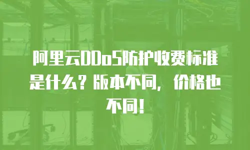 阿里云DDoS防护收费标准是什么？版本不同，价格也不同！